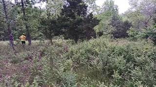 Dry Creek Hunting Dogs Rabbit Hunting May 13 2024 [upl. by O'Doneven]