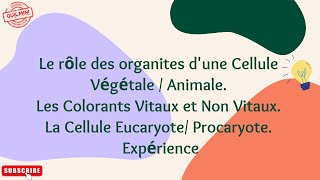 Cellule végétale et Cellule Animale et Les colorants Vitaux et Non Vitaux  GuilMini [upl. by Hawk105]