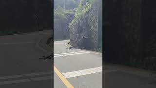 Highway cement retaining wall collapse process [upl. by Syd]