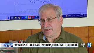 Herbruck’s to lay off 400 employees citing bird flu outbreak [upl. by Rezeile]