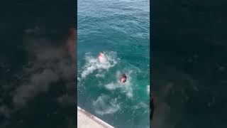 Person Accidentally BellyFlop Off Boat While Diving  1475509 [upl. by Asirap]