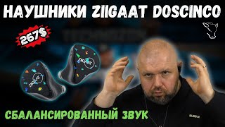 ПРОВОДНЫЕ НАУШНИКИ ZIIGAAT DOSCINCO С ДВУМЯ ДИНАМИЧЕСКИМИ ДРАЙВЕРАМИ СБАЛАНСИРОВАННЫЙ ЗВУК [upl. by Cymbre]