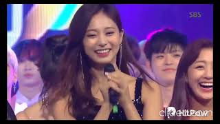 Tzuyu Special Attention to SEVENTEEN Mingyu 2019 MINTZU 민규 쯔위 [upl. by Verneuil]