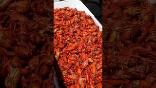 Crawdad Boil at the Isleton Crawdad Festival crawfish crawdad seafoodboil shorts foodie [upl. by Hepsoj]