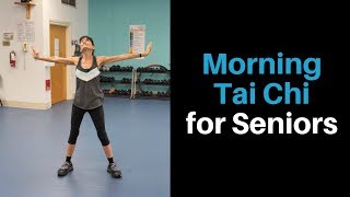 6 Minute Beginner Tai Chi Exercise [upl. by Norramic]