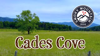 Cades Cove Loop Road [upl. by Einnos847]