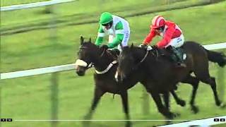 Historic Race at Towcester Racecourse [upl. by Winnick]