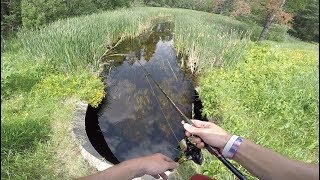 Roadside Small Creek Fishing For Clear Water Bass [upl. by Martine914]