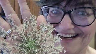 Trying out my new microwave flower drier and drying some beautiful flowers in Silica Gel Video 377 [upl. by Wendall343]