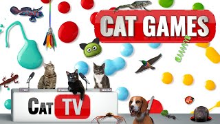 CAT Games  Ultimate Cat TV Compilation Vol 66  2 HOURS 🐝🐞🦋🦎🦜🐜🐭🧵 [upl. by Mahgem]