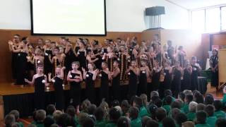 Hill Park school Manurewa Kapa Haka group [upl. by Myra338]