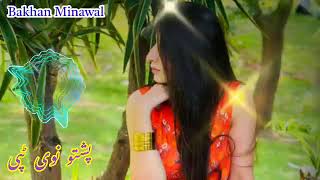 2024 new pashto song  New tapay best  allpashtosongs afghanistan youtubeviralvideo tiktok [upl. by Anoit]