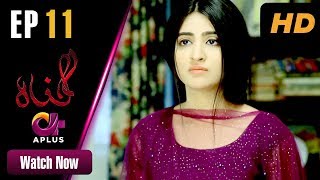 Gunnah  EP 11  Aplus Sara Elahi Shamoon Abbasi Asad Malik  Pakistani Drama  C3M1 [upl. by Lennaj]