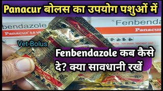 Panacur Vet BolusFenbendazoleDeworming पशुओं को कब कैसे दें [upl. by Haydon385]