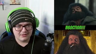 MAD HAGRID 3 YTP REACTION [upl. by Leahcimal]