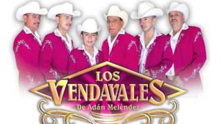 Los Vendavalez De Adan Cumbias El Cafetal Carmelita [upl. by Joleen511]