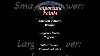 Wolffia  Rafflesia  Amorphophallus  Dr Amit Tak  NEET  smallest tallest largest flower BioEazy [upl. by Adnirb298]