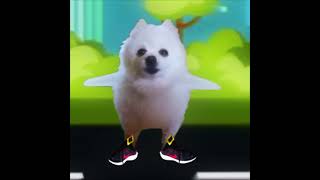 1 2 buckle my shoe Doggo [upl. by Newmark]