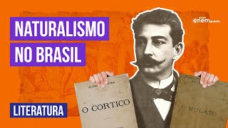 NATURALISMO NO BRASIL o que é como surgiu e características  Literatura Enem Camila Brambilla [upl. by Amarillas]