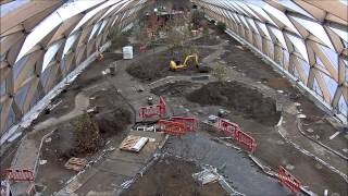 Fosters Crossrail Place roof garden at Canary Wharf [upl. by Lezley]