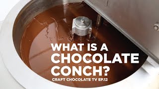 The Chocolate Conch  Episode 12  Craft Chocolate TV [upl. by Astor]