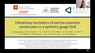 Dąbrówka Biegańska quotElementary excitations of excitonpolariton condensates in a synthetic gaugequot [upl. by Fira]