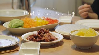 SUB VLOG 18 What I eat in a day kimchi fried rice and spring roll  Honeykki 꿀키 [upl. by Sharia51]