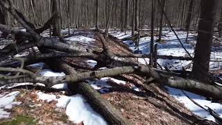 Aetna EarthworksMissaukee County Michigan Indian Mounds [upl. by Aliam]