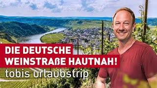 Die Deutsche Weinstraße hautnah  Tobis Urlaubstrip  erlebnis hessen  doku  reisen [upl. by Miranda556]