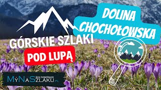 Dolina Chochołowska  jak dojść z Siwej Polany do schroniska PTTK  7 Górskie Szlaki Pod Lupą [upl. by Kcirted195]