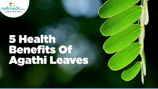 5 Incredible Health Benefits Of Agathi KeeraiAgathi Leaves [upl. by Ramu847]