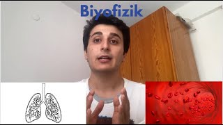 Tıp Fakültesi 1 Sınıf Dersleri Tıp Fakültesine Hoşgeldiniz [upl. by Karlens538]