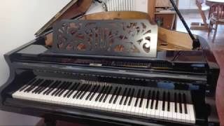 Steinway vs Bösendorfer Chopin Fantasie Impromptu [upl. by Nimad]