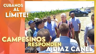 Diaz Canel culpa a campesinos por falta de comida en Cuba Ellos le responden sin pelos en la lengua [upl. by Ellehs575]