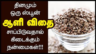 ஆளி விதை பயன்கள்  Flax Seed Benefits in Tamil  How to Eat Flax Seeds Flaxseed Powder Health Tips [upl. by Atiuqehc]