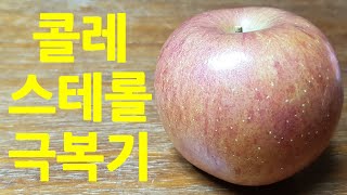 콜레스테롤낮추는음식 무설탕 사과효소만드는법 콜레스테롤 나추는방법 [upl. by Coopersmith]