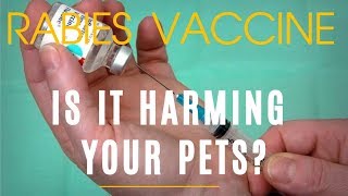 Is Rabies Vaccine Harming Your Pets [upl. by Eseryt]