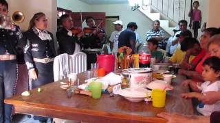 Mariachis de la Abuela  El Mono de Alambre [upl. by Naynek]