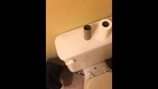 My toilet makes the weirdest noise when I flush it [upl. by Xantha768]