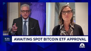 ARK Invest CEO Cathie Wood on spot bitcoin ETF [upl. by Nessim]