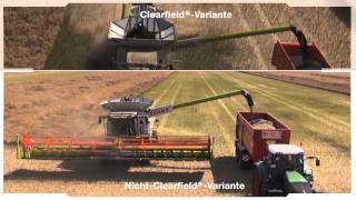 Das Clearfield®System – Eindrücke bei der Ernte [upl. by Alag]