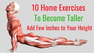 10 Home Exercises to Become Taller in No Time [upl. by Eemiaj]