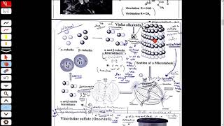 Anticancer Agents 06  Plants Alkaloid A [upl. by Eirek241]