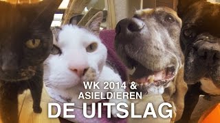 WK 2014 mediagekte en uitslagen langzittende asieldieren [upl. by Llennod115]