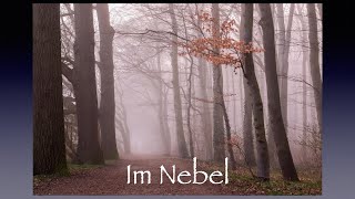 Im Nebel  Hermann Hesse 1905 [upl. by Tomaso50]