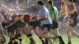 Irish Rugby TV UCD v Lansdowne AIL Highlights amp Reaction [upl. by Darill334]