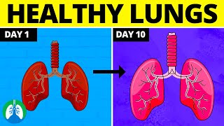 If You Want Healthy Lungs Do THIS Every Day for 30 Days ❗ [upl. by Damahom285]