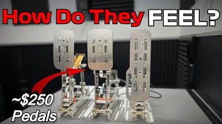 I Bought the Cheapest quotPremiumquot Sim Racing Pedals  Part 1 [upl. by Wolfie557]