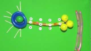 Anatomy and Physiology  Nerve Impulse Transmission [upl. by Engleman]