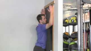 Beginner Serratus Anterior Exercise for Overhead Shoulder Pain [upl. by Sidnac636]